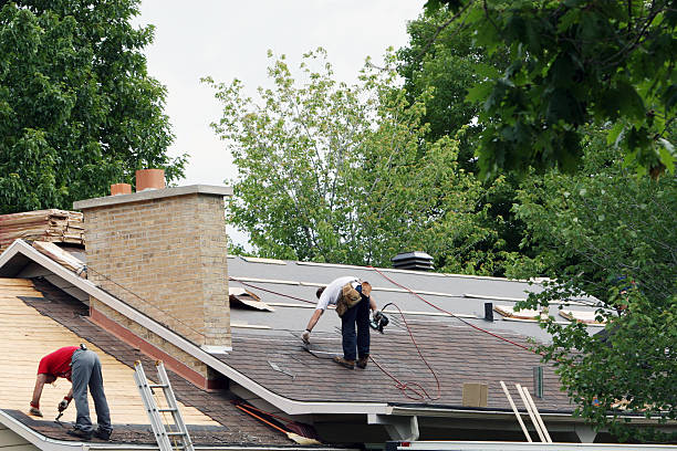Best Roof Maintenance Services  in Anza, CA